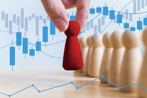 市场出清与巨头入场 小贷行业在洗牌中重塑信息咨询服务